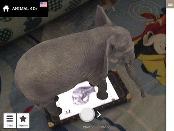 Ứng dụng thực tế ảo Animal 4D Ung dung thuc te ao Animal 4D