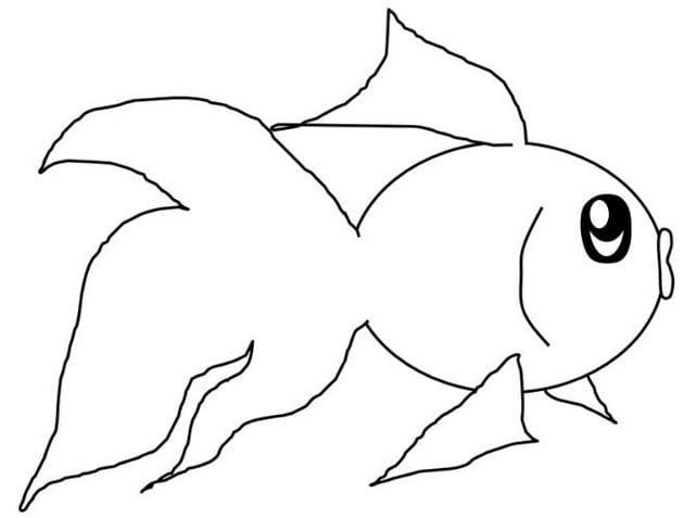 Hình nền Nền Một Con Cá Sấu được Vẽ Bằng Bút Chì Màu Nền, Tranh Tô Màu Con Cá  Sấu, Cá Sấu, Bò Sát Background Vector để tải xuống miễn phí -