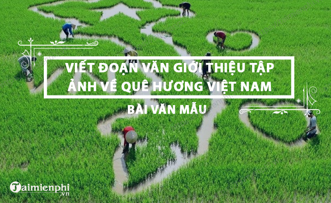 Văn giới thiệu: Qua văn giới thiệu, bạn sẽ được trải nghiệm chân thực những giá trị văn hóa, những nét đẹp của con người và cuộc sống tinh tế của người Việt.