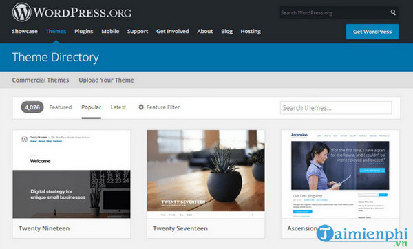 wix va wordpress 9 diem khac biet ban can biet 2