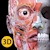 download Anatomy 3D Atlas Cho Android 