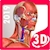 download Anatomy Learning Cho Android 