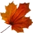 download Autumn Organizer 1.1.1 