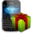 download Bigasoft BlackBerry Software Pack 1.2.1.4321 