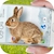 download Bunny in Phone Cute joke Cho Android 