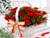 download Cắm hoa hồng Ngày tết 