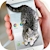 download Cat Walks in Phone Cute Joke Cho Android 