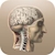download Classic Anatomy Cho Android 