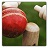 download Cricket Statz 11.4.11 