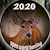 download Deer Hunter 3D Cho Android 