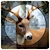 download Deer Hunting 19 Cho Android 