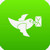 download Digital Pigeon Web 