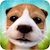 download Dog Simulator cho Android 2.2.3 