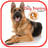 download Dog Training Cho Android 