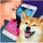 download Dog Translator Simulator Cho Android 