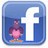 download Facebook Chat for Pidgin 1.69 