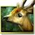 download Forest HD Cho Android 