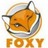 download FoxyProxy Standard 2.9.2 for Chrome 