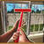 download Home Renovate 'N Sale cho Android 