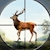 download Jungle Deer Hunting Cho Android 
