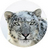 download OS X Snow Leopard for Mac 10.6.8 