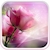 download Pink Roses Live Wallpaper Cho Android 