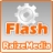 download Raize Video to Flash Converter 3.0 