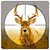download Real Deer Hunting Game Cho Android 
