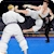 download Royal Karate Training Kings Cho Android 