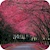 download Sakura Live Wallpaper Cho Android 