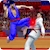 download Tag Team Karate Fighting Cho Android 
