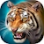 download The Tiger Cho Android 