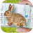 download Thỏ bò trên điện thoại cho Android 