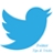 download Twitter for Windows 8 8 1.1.13.8 