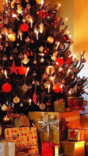 Với hình nền Noel cho điện thoại, bạn sẽ cảm nhận được không khí lễ hội đầy tươi vui và ấm áp tràn ngập trên màn hình thiết bị của mình. Hình ảnh sẽ đem lại cho bạn cảm giác yên bình và an lành trong những ngày giáp Tết tuyết trắng. Hãy cập nhật ngay hình nền noel cho điện thoại của mình để tạo thêm không khí lễ hội cùng bạn bè và người thân.