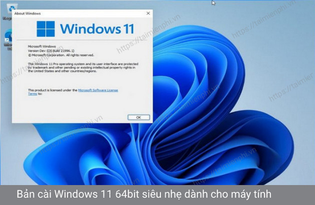 tai windows 11 64 bit