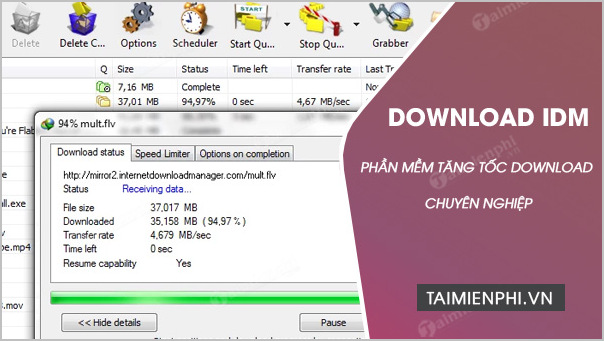 download idm