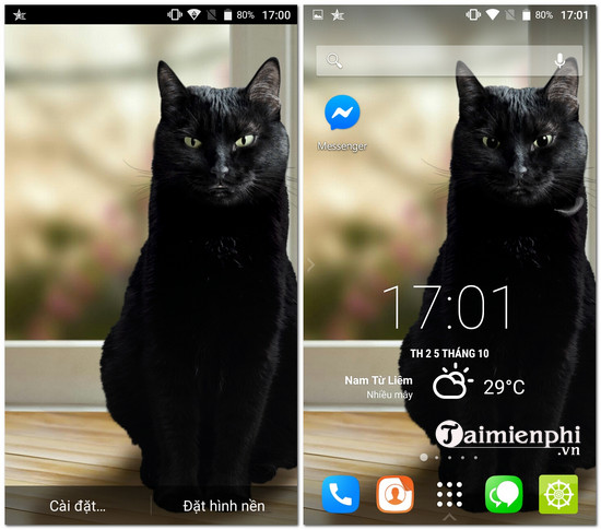 Download Cute Black Cat Live Wallpaper