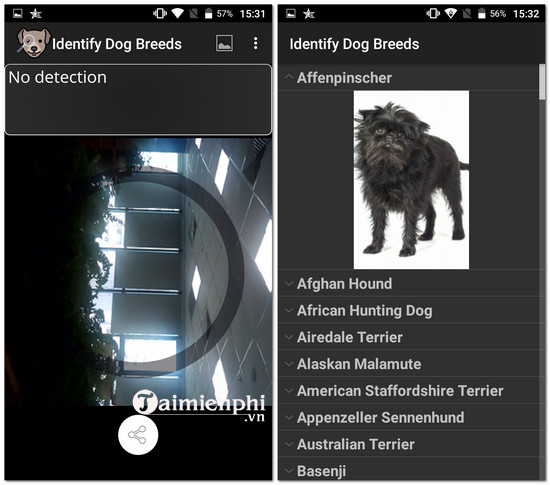 download Identify Dog Breeds