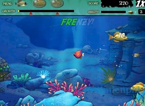 Download Feeding Frenzy - Game Cá Lớn Nuốt Cá Bé